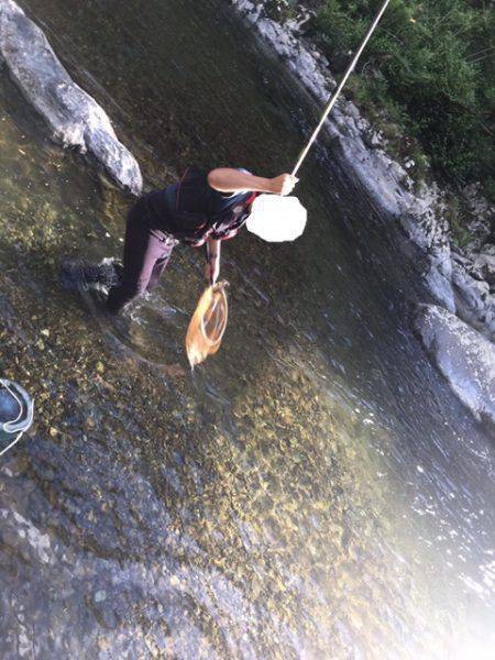 鮎釣り終盤戦突入！